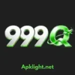 999Q Game